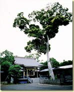 松戸　金ヶ作熊野神社